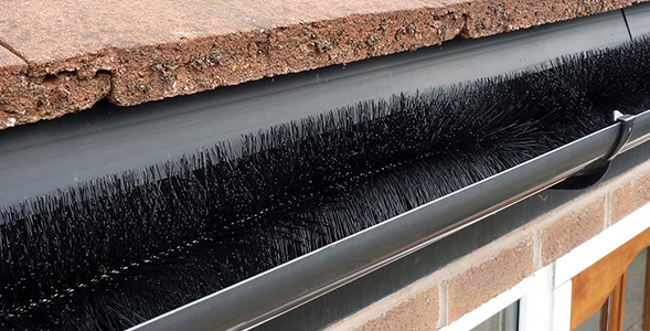 Gutter Brush Protection