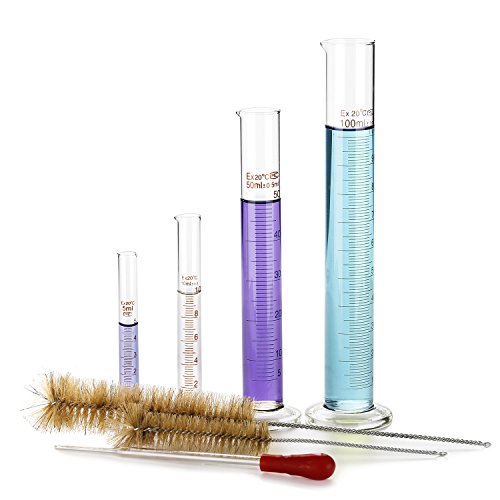 100 ml Graduated Cylinder Brush