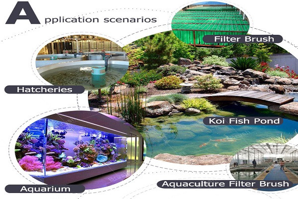 ROHS-Compliant Filter Brushes Koi Finds AOQUN