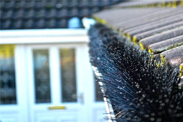 Gutter Brush Company --- AOQUN is Your Best Choice