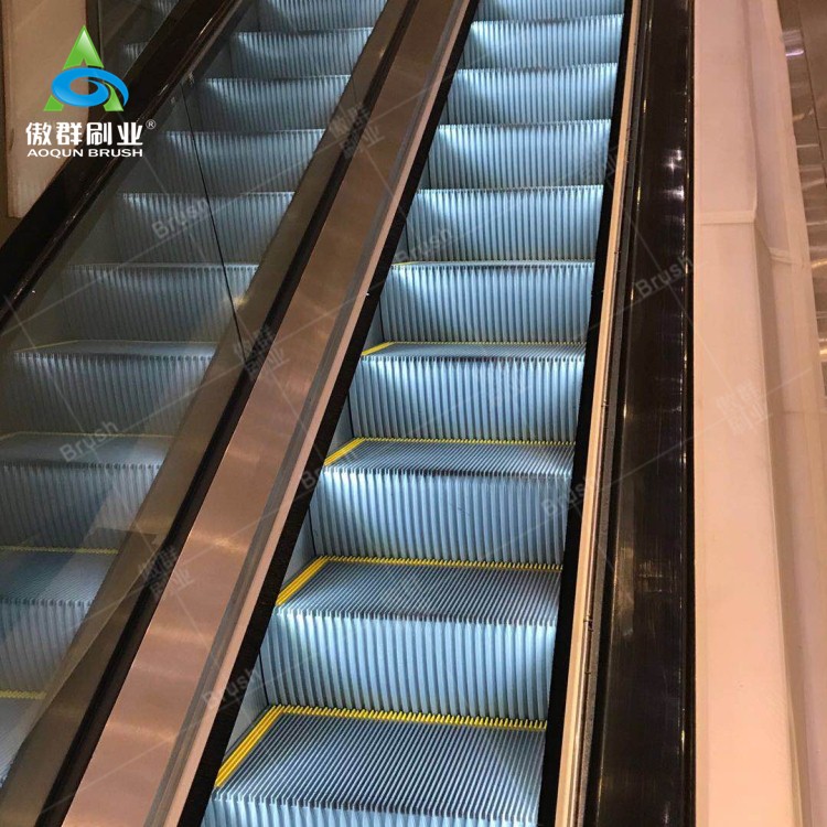 Escalator Brush Guard