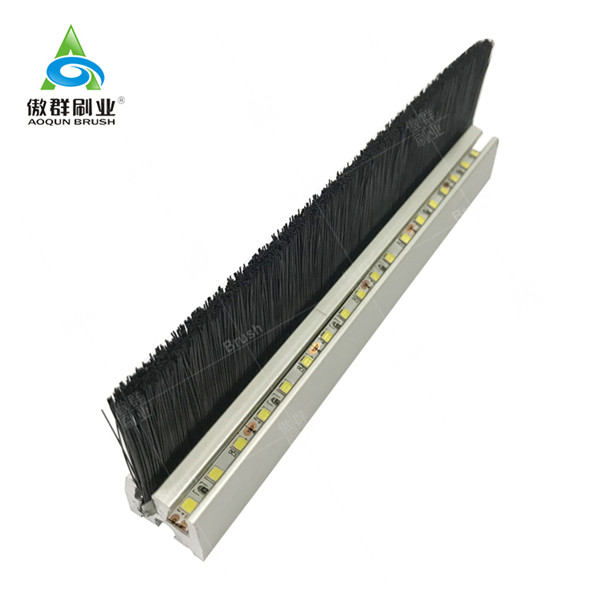 Escalator Brush Guard