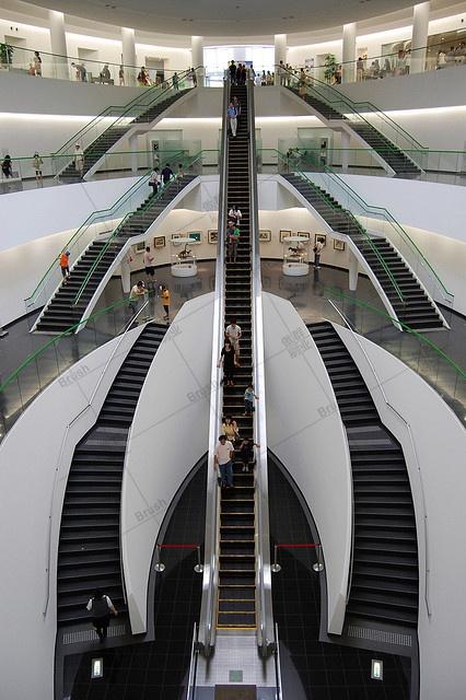 Safety Escalator Brush